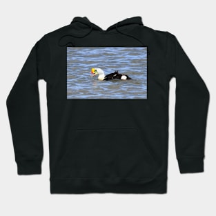 Dinner time Hoodie